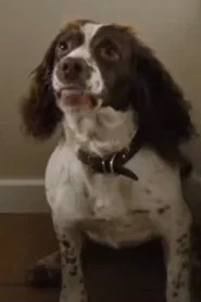 Rosa the Dog as Fanny