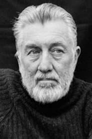 Peter Boom as Simmons