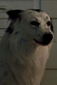Jake as Max