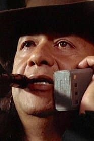 Lucius Wyatt Cherokee as Tonto