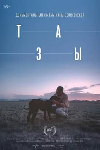 Тазы poster