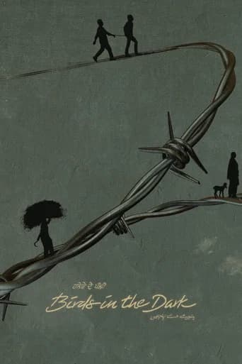 Birds in the Dark poster