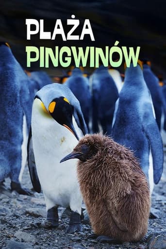 Penguin Baywatch poster