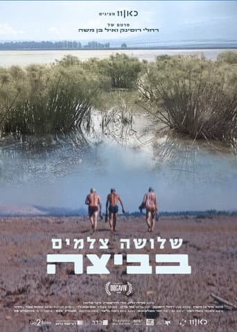 Wetland poster
