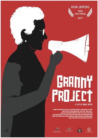 Granny Project poster