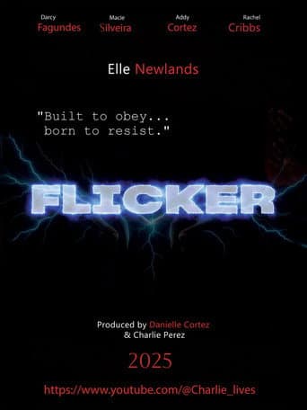 Flicker poster