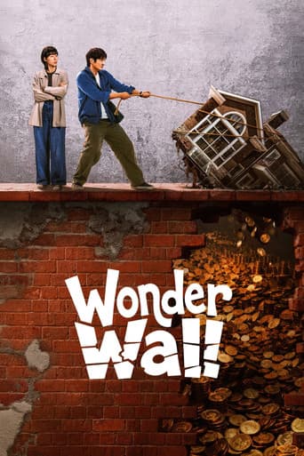 Wonder Wall poster