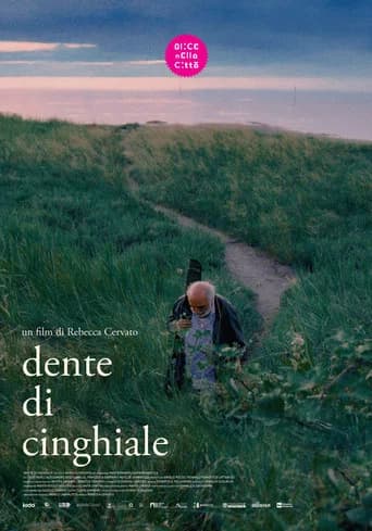 Dente di cinghiale poster