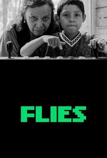 Flies poster