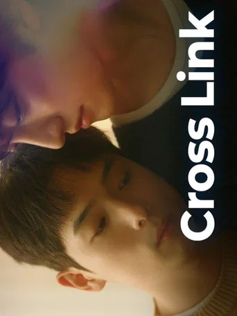 Cross Link poster