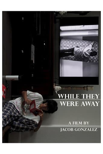 While They Were Away poster