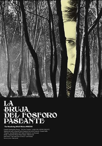 The Wandering Witch poster