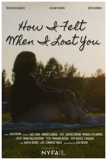 How I Felt When I Lost You poster