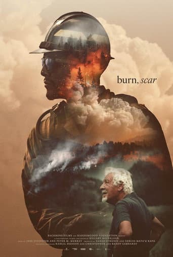 burn, scar poster