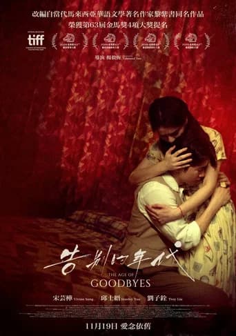 The Age Of Goodbyes poster