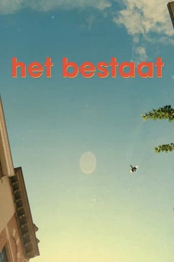 Het Bestaat poster