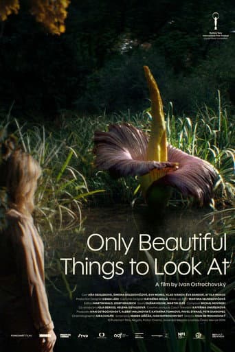 Only Beautiful Things to Look At poster