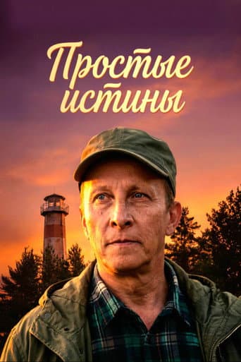 Простые истины poster