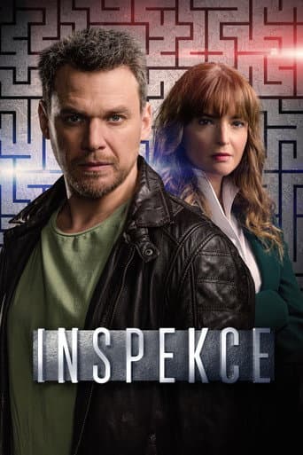Inspekce poster