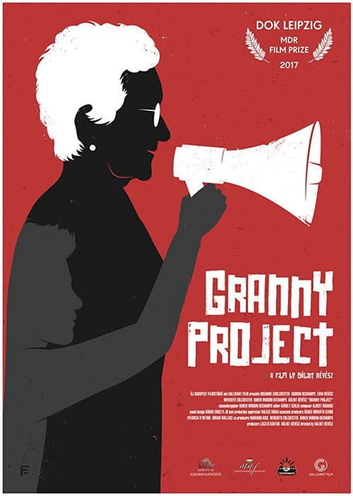Granny Project poster