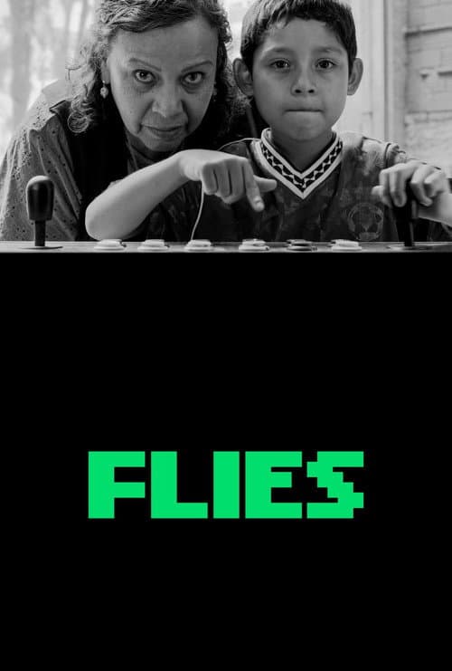 Flies poster