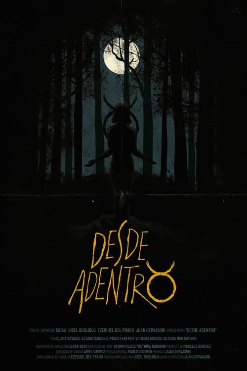 Desde Adentro poster