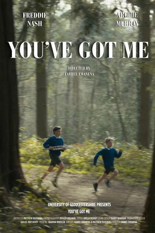 You've Got Me poster