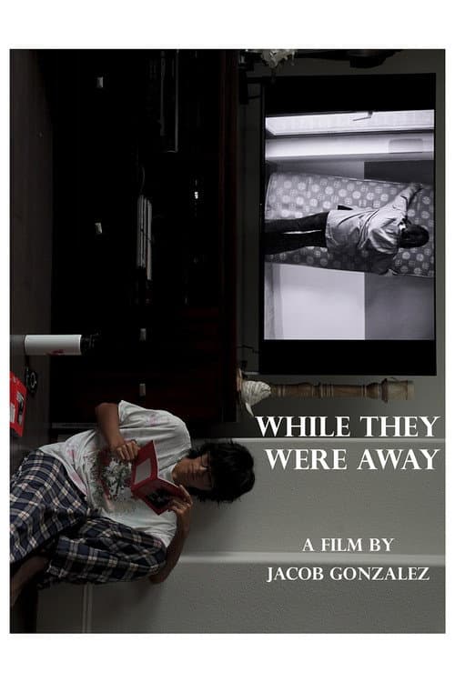 While They Were Away poster