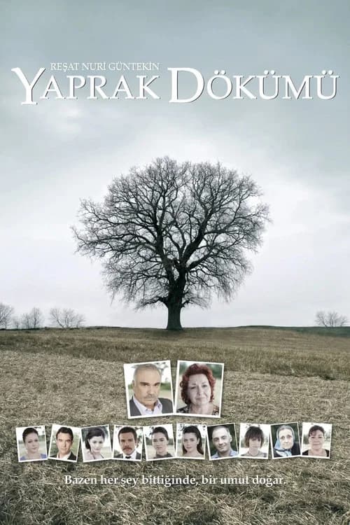 Falling Leaves poster