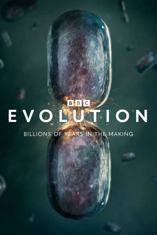 Evolution poster