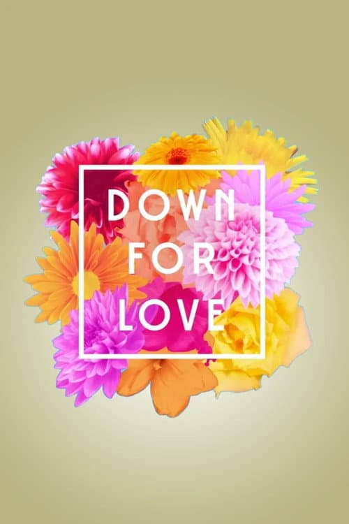 Down for Love poster