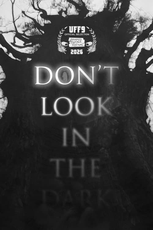 Don't Look in the Dark poster