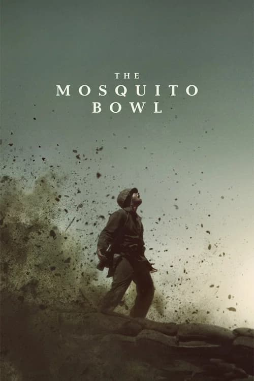 The Mosquito Bowl poster