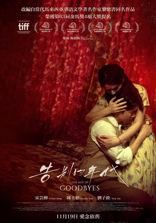 The Age Of Goodbyes poster