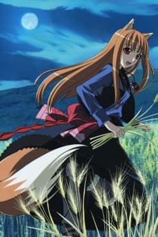 Spice and Wolf II: Wolf and the Amber Melancholy poster