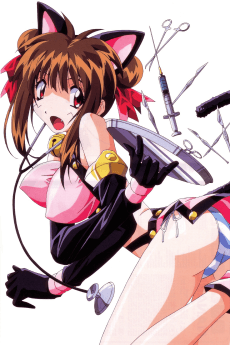 Amazing Nurse Nanako poster