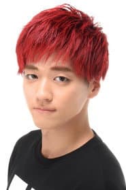 Sonosuke Hattori as (voice)