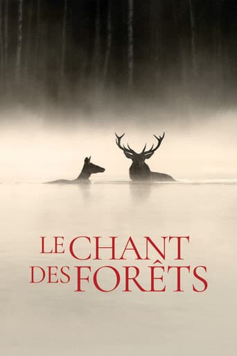 Whispers in the Woods poster