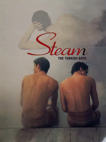 Steam: The Turkish Bath poster