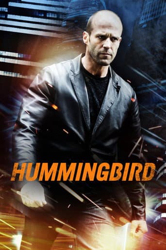 Hummingbird poster