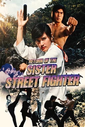 The Return of Sister Street Fighter poster
