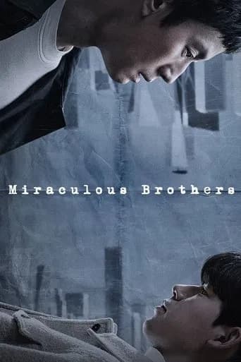Miraculous Brothers poster