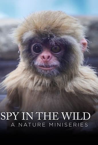 Spy in the Wild poster
