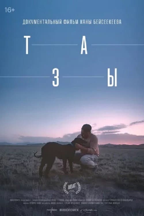 Тазы poster