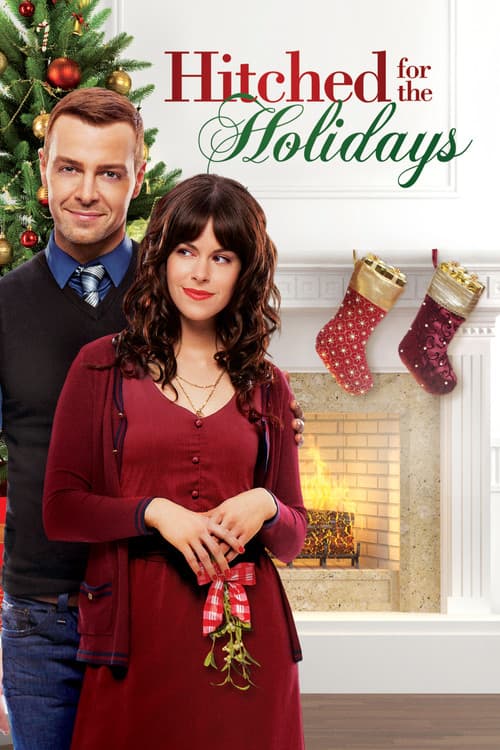 Hitched for the Holidays poster