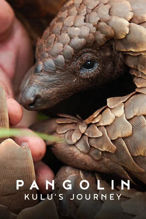 Pangolin: Kulu's Journey poster