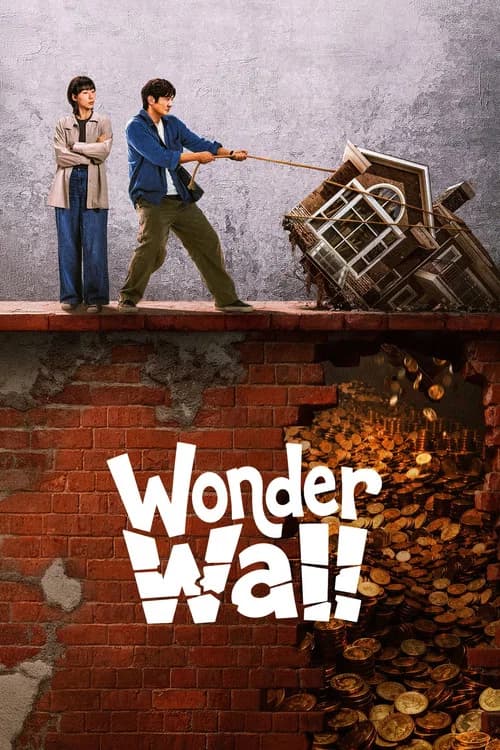 Wonder Wall poster