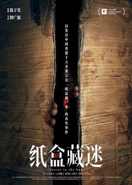 Secert in the Box poster