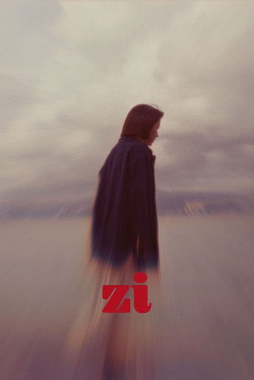 Zi poster