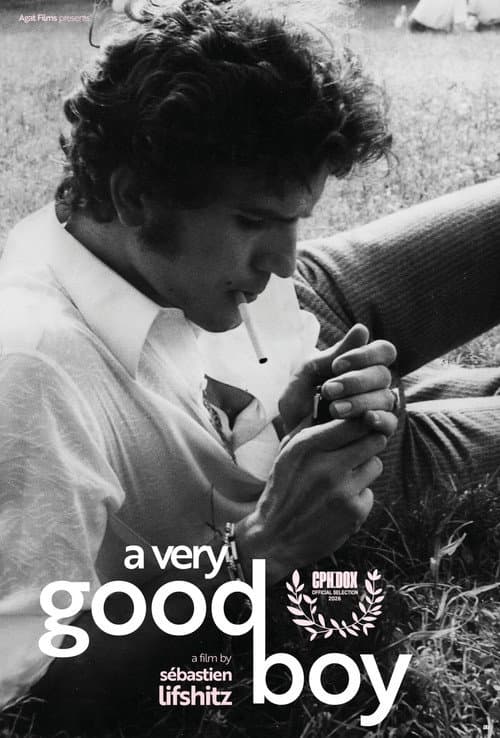 A Very Good Boy poster